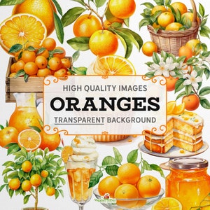 Oranges Clipart - Pack 1 - Watercolour style, colourful, 300dpi PNG graphics, transparent background, instant download, commercial use.