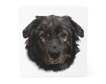 Cubo de notas Karakachan