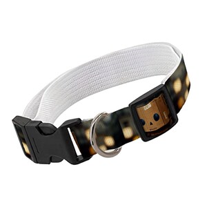 Graphic Art Pet Collar - Funny Dog Collar - Cartoon Dog Collar