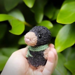 May include: A small, handmade plush mole toy with black and tan fur, a pink nose, and a green scarf. The toy is held in a hand against a backdrop of green leaves.