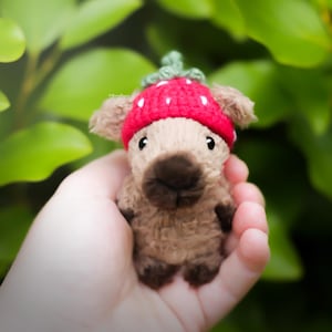 May include: A small, handmade plush toy of a brown animal with a dark brown snout and black eyes. It wears a red strawberry hat with white dots and green leaves. The toy is held in a hand against a blurred green background of foliage.