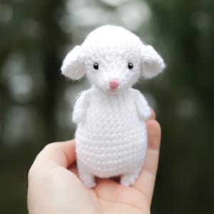 Crochet Amigurumi PATTERN: Blossom the Mouse, English PDF