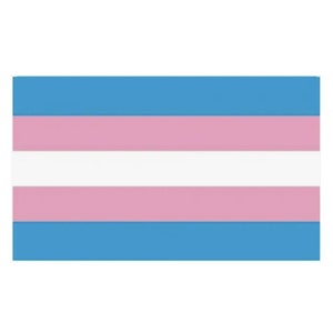 Transgender Flag 3x5ft LGBTQIA Trans Pride Transgender Pride Flag LGBT Pride 3x5 Transgender Flag 3x5ft LGBTQIA Trans Pride Transgender Pride Flag LGBT Pride 3x5