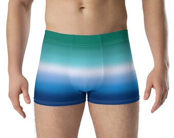 Gay MLM Vincian Pride Boxer Briefs Underwear Ombre