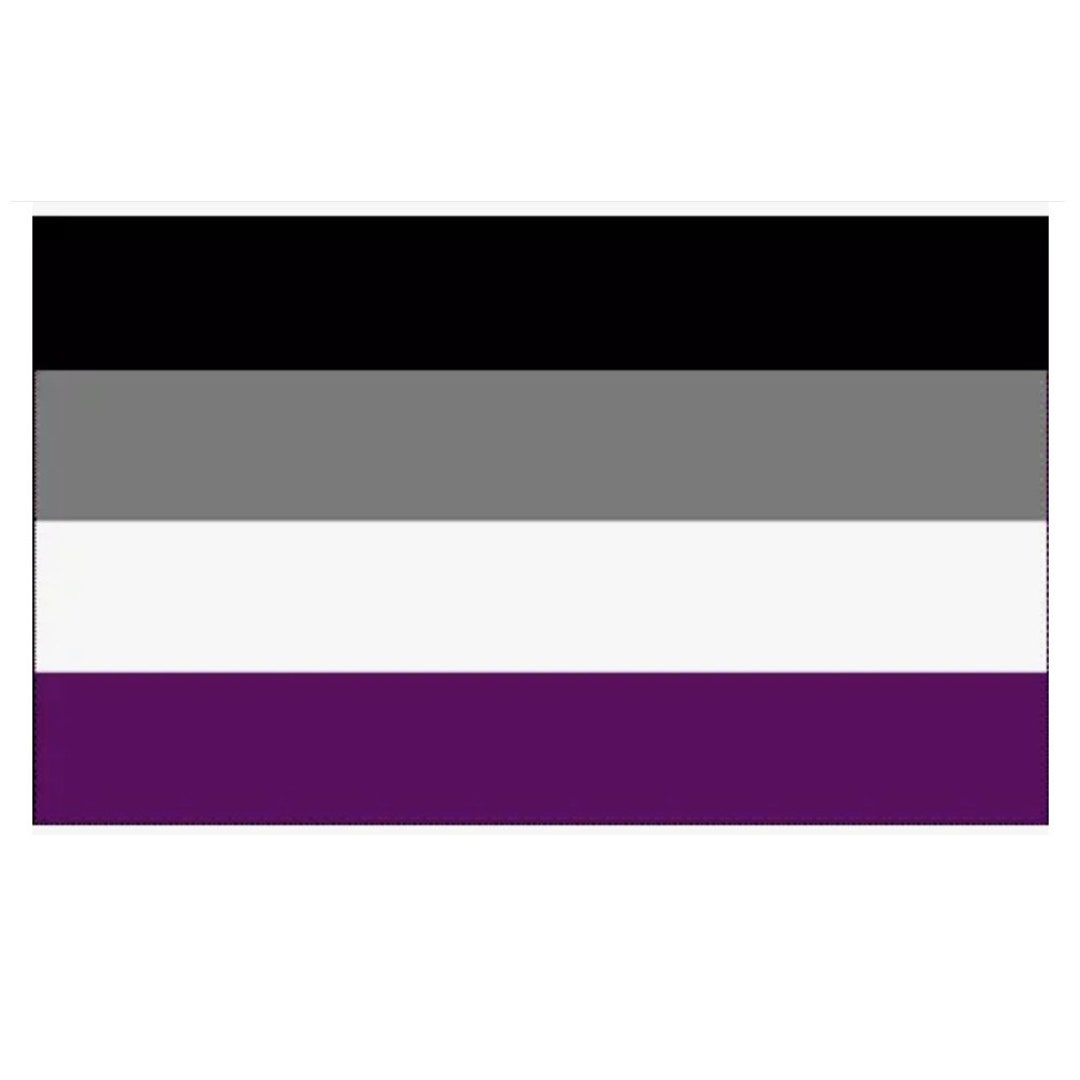 Asexual Ace Pride Flag 3x5 With Grommets Or Wear As Lgbt Cape Etsy