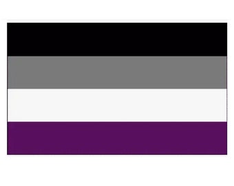 Asexual Ace Pride Flag 3x5 with Grommets