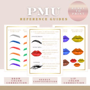 Puede incluir: Guías de referencia de PMU con texto e ilustraciones para la corrección del color de cejas y labios, y la configuración de agujas. Las guías incluyen ejemplos de formas de cejas, colores de labios y estilos de delineador de ojos. La frase "Ready to Print" también es visible.