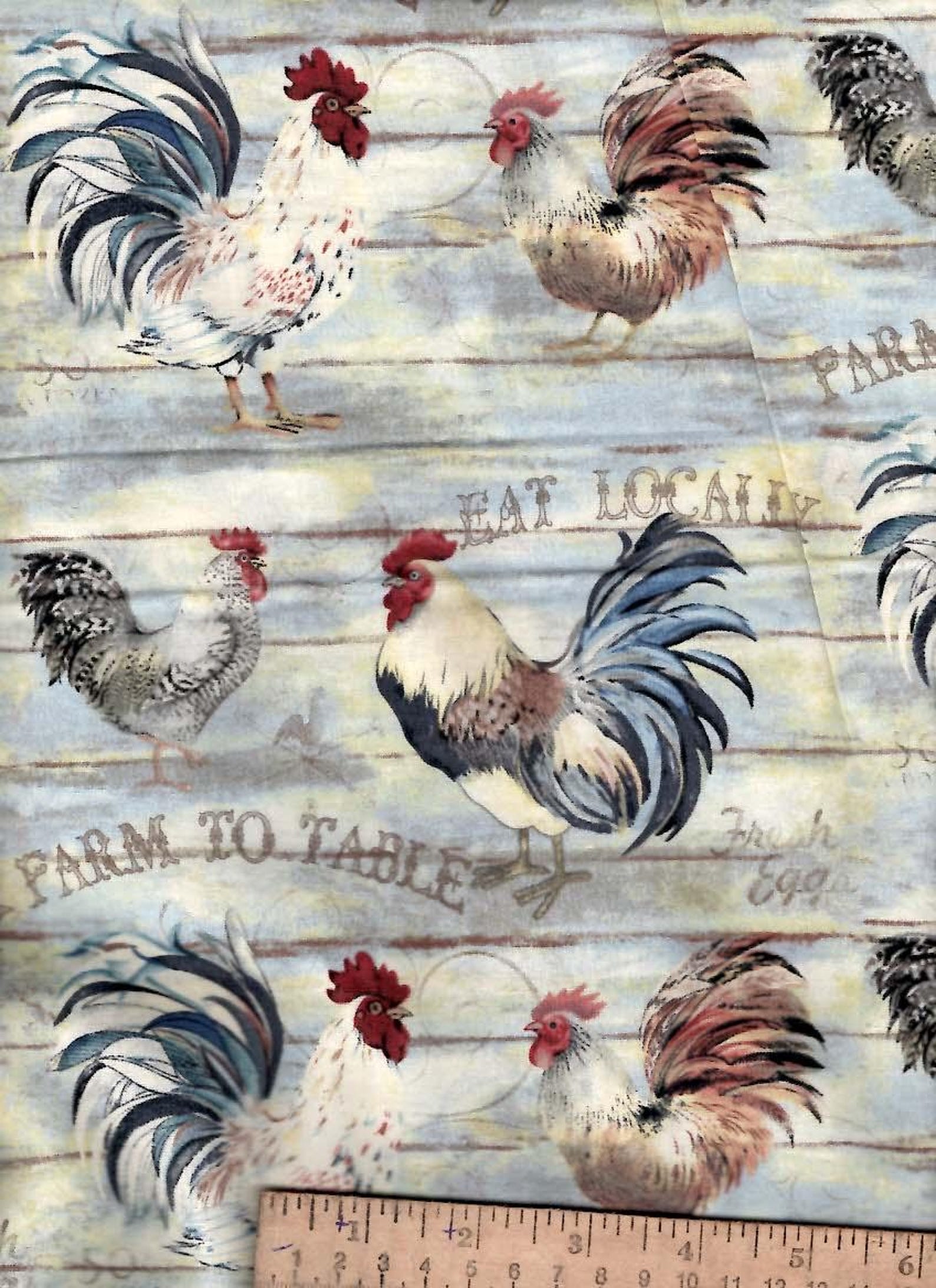 Fresh Eggs Chicken Rooster Susan Wingate Farm to Table Eat Local Cotton