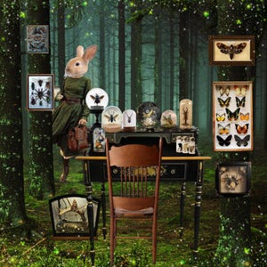 May include: A dark green dress worn by a figure with a rabbit head, standing beside a black desk with a wooden chair. The desk holds various insect specimens in glass domes and jars, while framed insect collections hang on the surrounding trees.