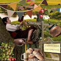 The Shire - A cozy gourmand perfume