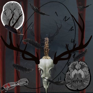 Ravenstag - A damp pine and sickness perfume