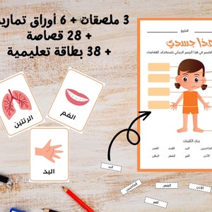 Arabic Human Anatomy for Kids | Body Parts in Arabic | Organs in Arabic | Body parts posters | Arabic Anatomy worksheets | Arabic Montessori
