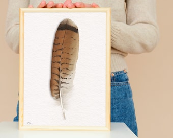 Red-Tailed Hawk Feather Giclée Print: Boho Bird of Prey Feather Art