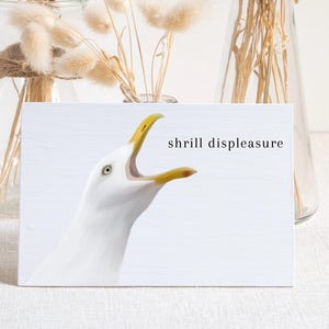 Cartões engraçados de gaivotas em branco, artigos de papelaria para pássaros, artigos de papelaria em branco, cartões engraçados de pássaros, arte de gaivotas gritando, cartões engraçados da natureza