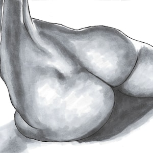 Sitting Butt & Torso