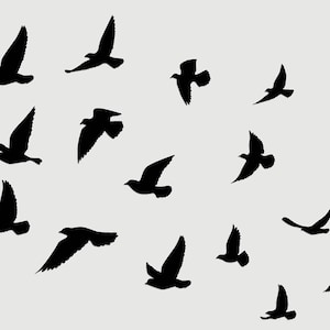 Bird Stencils No.2, Large Format Wall Art Painting Stencil, Reusable Plastic Decoration Template for Painting on Walls, Wood, Canvas