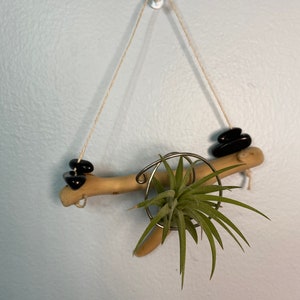 Driftwood, and onyx air plant holder