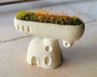 Mini house pot, concrete planter, fairy garden house, terrarium decoration, mini cactus pot, succulent pot, concrete tiny house