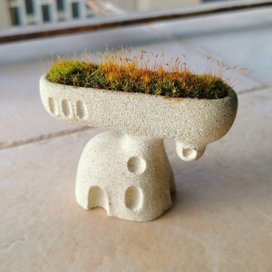 Mini house pot, concrete planter, fairy garden house, terrarium decoration, mini cactus pot, succulent pot, concrete tiny house image 1
