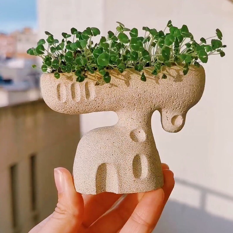 Mini house pot, concrete planter, fairy garden house, terrarium decoration, mini cactus pot, succulent pot, concrete tiny house image 3
