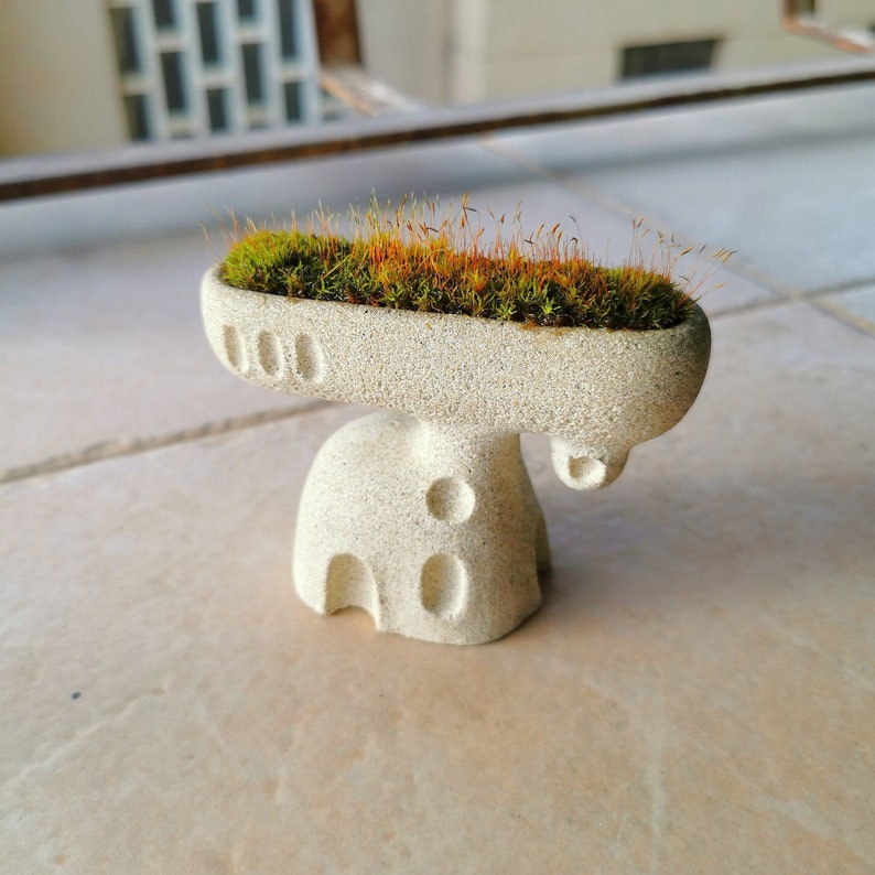 Mini house pot, concrete planter, fairy garden house, terrarium decoration, mini cactus pot, succulent pot, concrete tiny house image 1