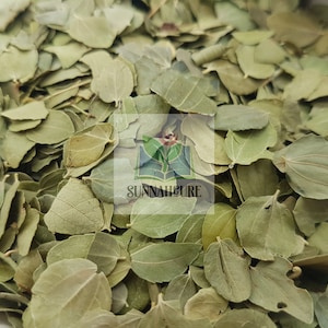 Sidr Leaves (Jujube Ziziphus) 100g