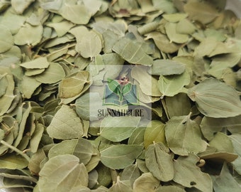 Sidr Leaves (Jujube Ziziphus) 100g