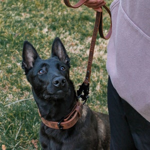 Leather Leash with Frog Clip  | 3&#39; Leather Dog Leash | K9 Training Lead | Frog Clip Leather Lead