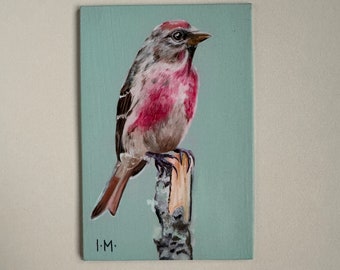 Oil painting of a melodious linnet