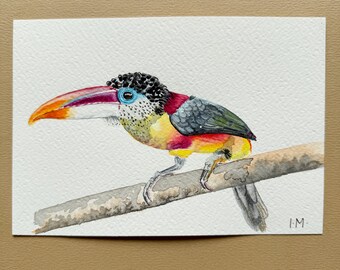 Aquarelle originale fait main oiseau toucan