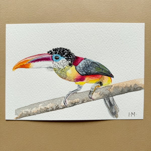 Aquarelle originale peinte à la main oiseau toucan