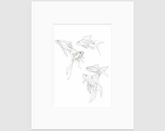 Fish sketch | Drawing Art Print | 5 x 7"