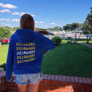 Delaware Hoodie Unisex | College Sweatshirt | UD Hoodie | Delaware Pullover | University Inspired Apparel