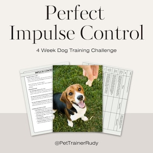 May include: Image of a beagle dog looking up at a treat held by a person's hand. The image is part of a dog training program titled "Perfect Impulse Control" with a 4-week challenge. Training documents are visible.