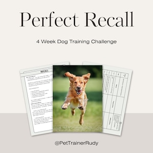 May include: A promotional image for a 4-week dog training challenge. The image features a golden retriever in mid-air, with text that reads "Perfect Recall" and "4 Week Dog Training Challenge." There are also training documents in the background.
