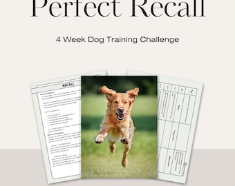 Plan de entrenamiento para la llamada de perros: Método del clicker positivo, desafío de 4 semanas (Descargar PDF)