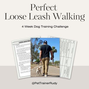 May include: Image promoting a 4-week dog training challenge for loose leash walking. The image includes a person walking a dog on a road, along with training documents. The text reads "Perfect Loose Leash Walking".