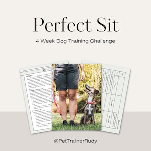 PERFECT SIT 4 Week Dog Training Challenge | Printable Dog Training Worksheet | Puppy Obedience Training PDF | R+ Dog Training