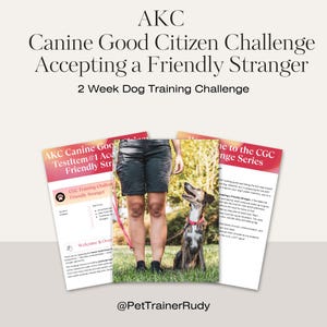 May include: Image features a dog training challenge with the text "AKC Canine Good Citizen Challenge Accepting a Friendly Stranger." The image includes a dog on a leash, a person, and training materials.