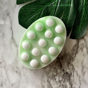 May include: A light green silicone bath scrubber with white raised bumps. The scrubber is oval shaped and has a textured surface.