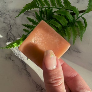 Pink Solid to Liquid Conditioner Bar | 1 Solid Conditioner Bar Makes 12 oz of Liquid Conditioner Vegan Biodegradable French Pink Clay