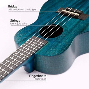 Blue Gecko Concert Ukulele Beginner Starter Kit Mahogany Concert Ukulele Nylon String Blue Concert Gecko Ukuele image 3