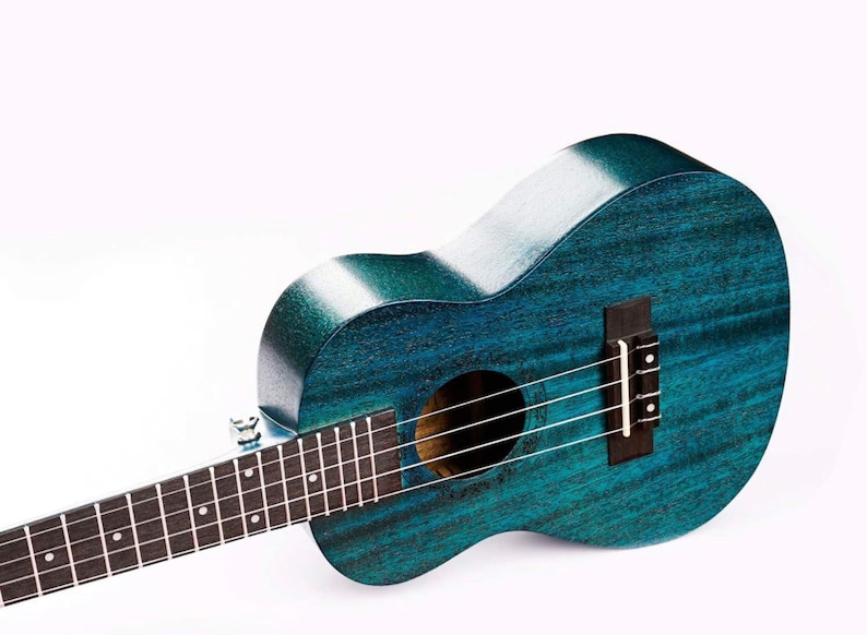 Blue Gecko Concert Ukulele Beginner Starter Kit Mahogany Concert Ukulele Nylon String Blue Concert Gecko Ukuele image 2