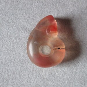 MISSING LINK ANDARA~Ancient Andara Carved Amulet~Neolithic Natural Glass Artifact~Zhulong/C-Dragon/Pig Dragon