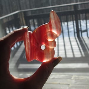 MISSING LINK ANDARA~Ancient Andara Carved Amulet~Neolithic Natural Glass Artifact~Zhulong/C-Dragon/Pig Dragon w/Wings and Cicada
