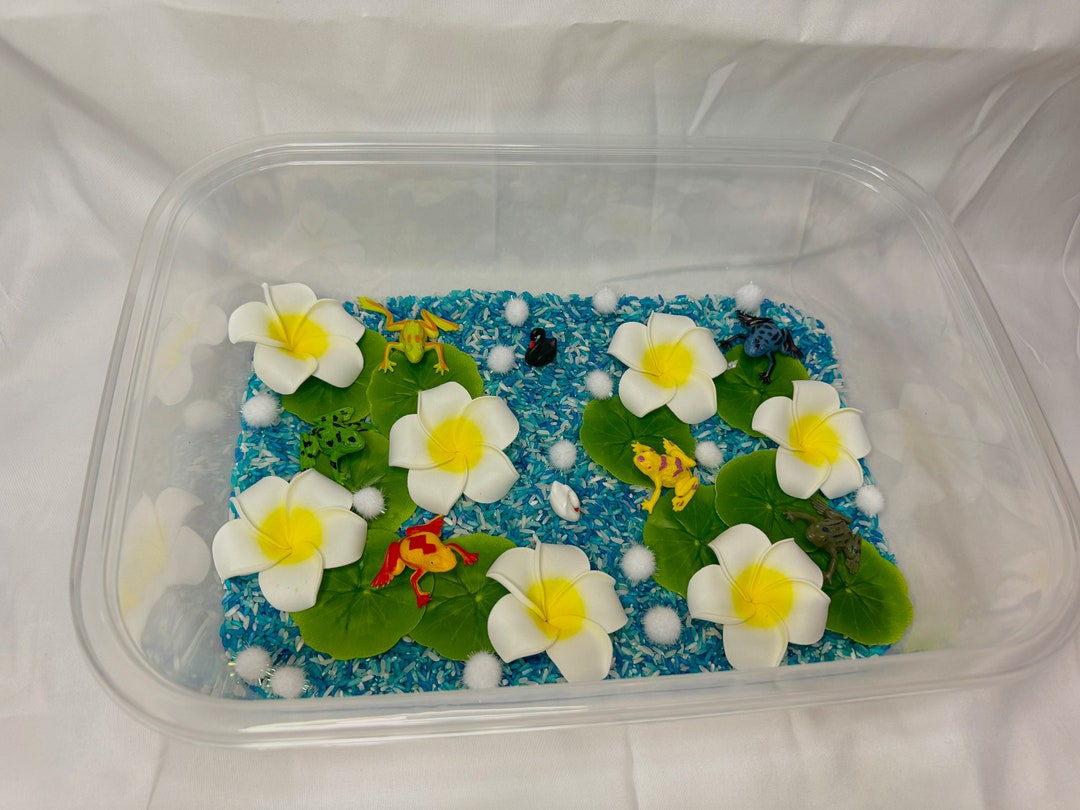 Frog Pond Sensory Bin, Sensory Play, Fine Motor Play, Learn and Play ...