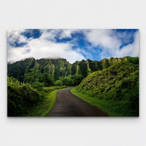 Koolau Mountain Range Hoomaluhia Botanical Garden Hawaii Print Landscape Framed Fine Art Framed Photo Tropical Nature Hanging Decor