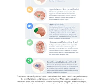 May include: Diagram showing how trauma is processed in the brain. The diagram shows five different parts of the brain, including the amygdala, hypothalamus, prefrontal cortex, hippocampus, and basal ganglia. Each part of the brain is labeled with a number and a brief description of its function.