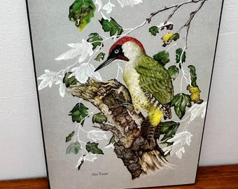 Vintage Green Woodpecker Bird Print Wall Plaque Jane Brewer Chipboard 32x23cm