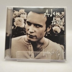 Music CD Adam Ant - Wonderful CD.